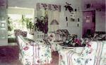 Pink Hibiscus - Montego Bay Villas
